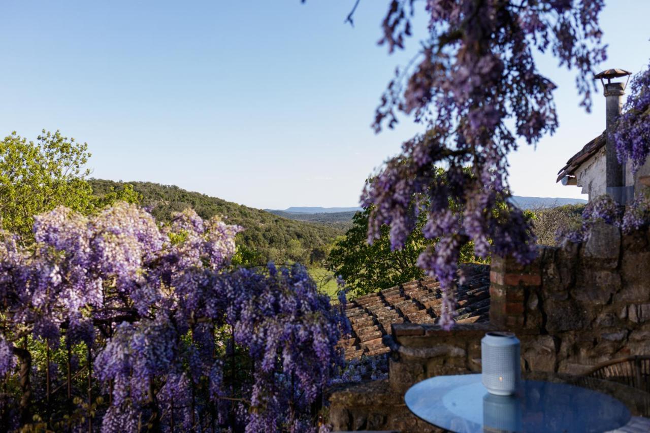 La Vieille Maison - Halte Gourmande Durfort-et-Saint-Martin-de-Sossenac Εξωτερικό φωτογραφία