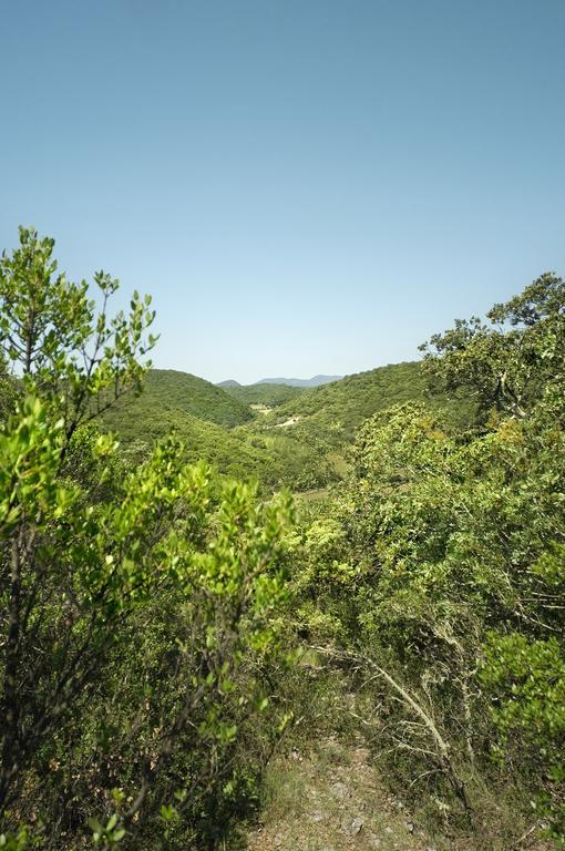 La Vieille Maison - Halte Gourmande Durfort-et-Saint-Martin-de-Sossenac Εξωτερικό φωτογραφία