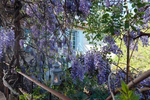 La Vieille Maison - Halte Gourmande Durfort-et-Saint-Martin-de-Sossenac Εξωτερικό φωτογραφία
