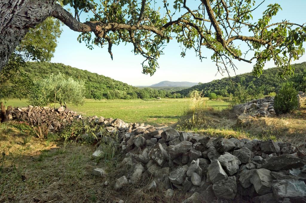 La Vieille Maison - Halte Gourmande Durfort-et-Saint-Martin-de-Sossenac Εξωτερικό φωτογραφία